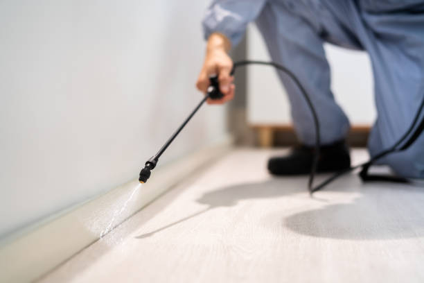 Rodent Entry Point Assessment in Blooming Prairie