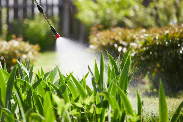 Tamper-Resistant Bait Stations for Rodents in Blooming Prairie