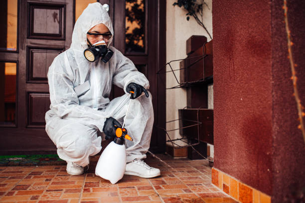 Attic and Crawl Space Rodent Treatment in Blooming Prairie