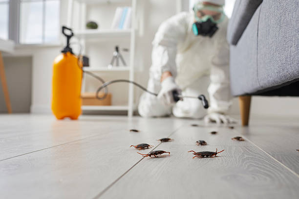 Commercial Rodent Management in Blooming Prairie